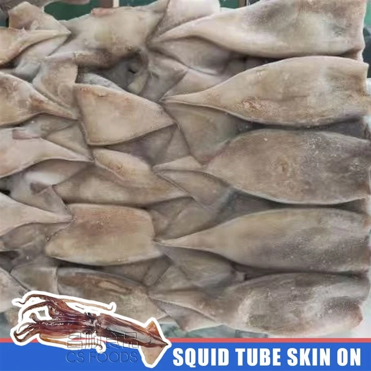 BQF Frozen Squid Tube Skin On suppliers